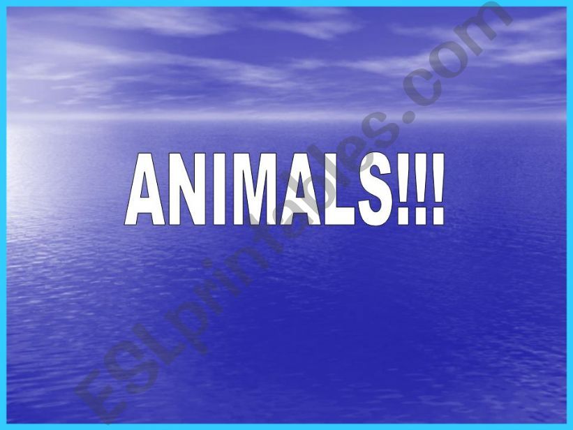Power with animals vocabulary powerpoint