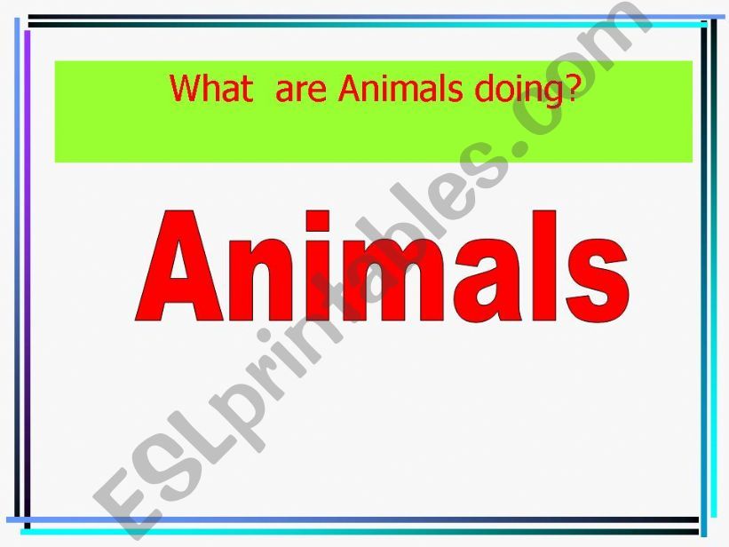 wha are animals doing? powerpoint