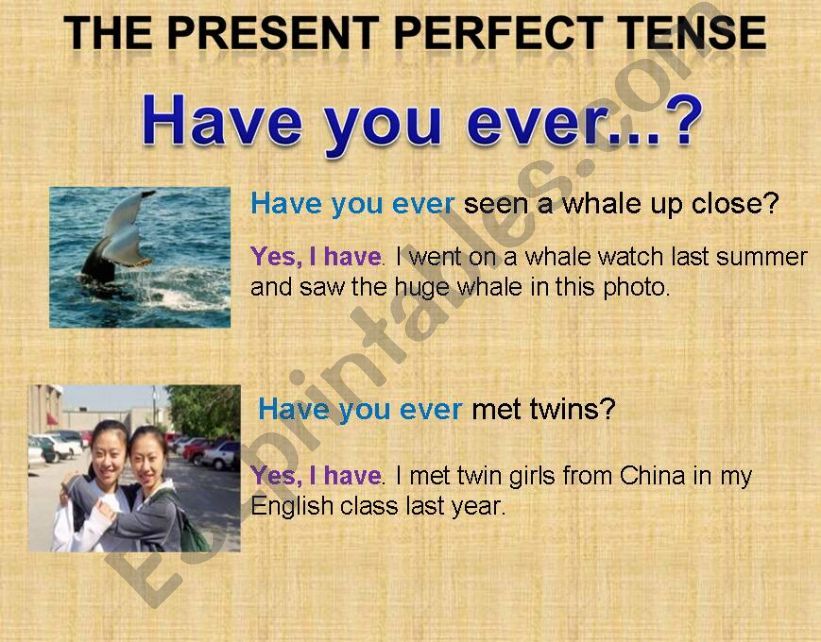 the present perfect tense (have you ever.......?)