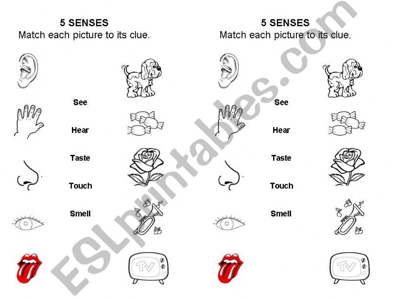 5 SENSES MATCH powerpoint