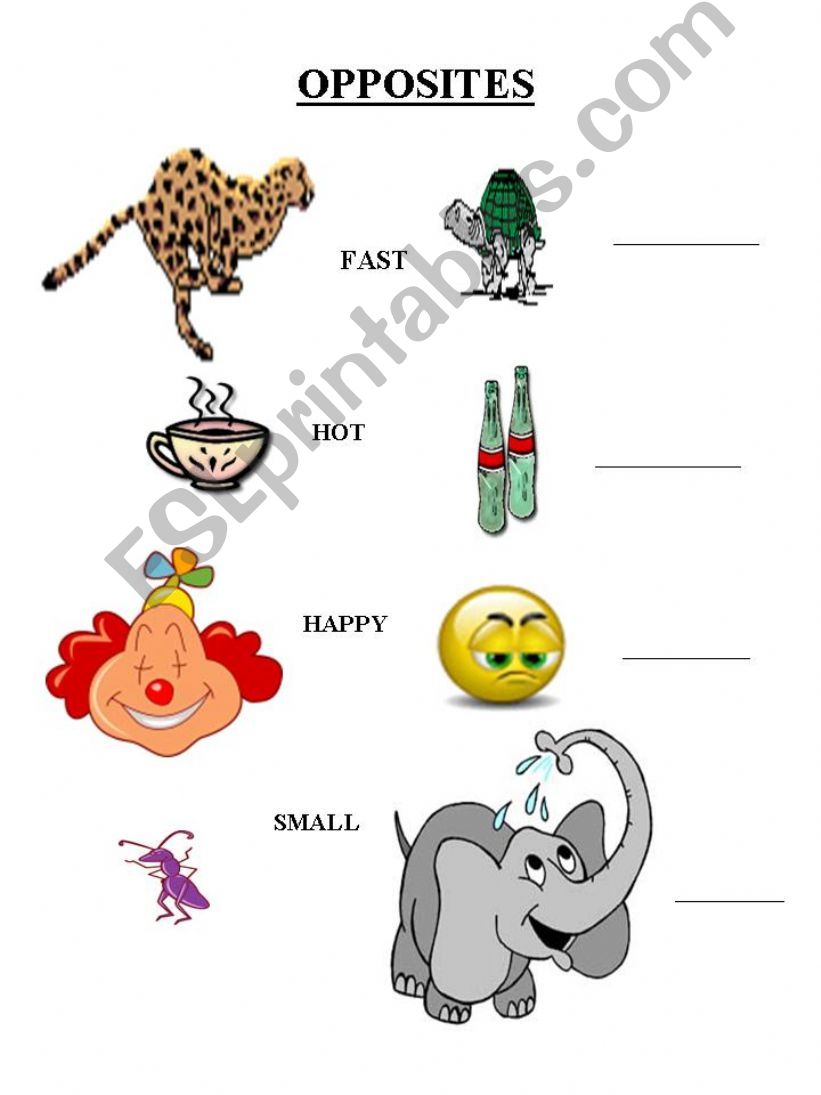 OPPOSITES powerpoint