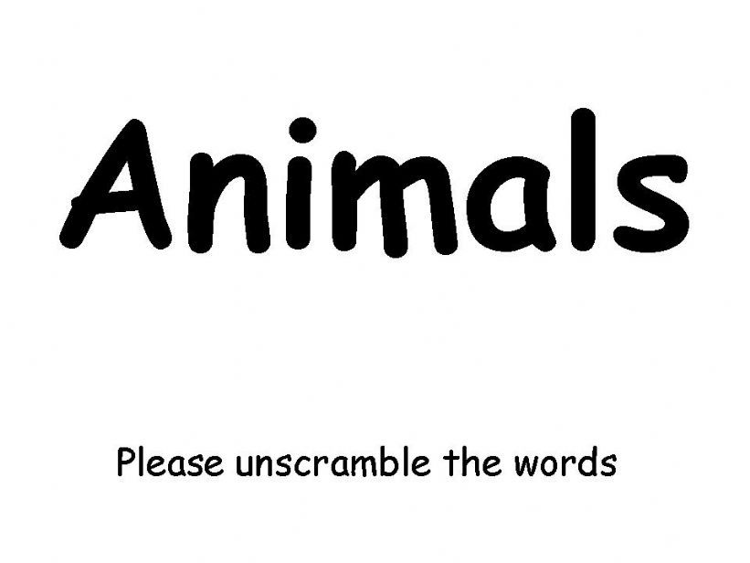 Animal words scramble powerpoint