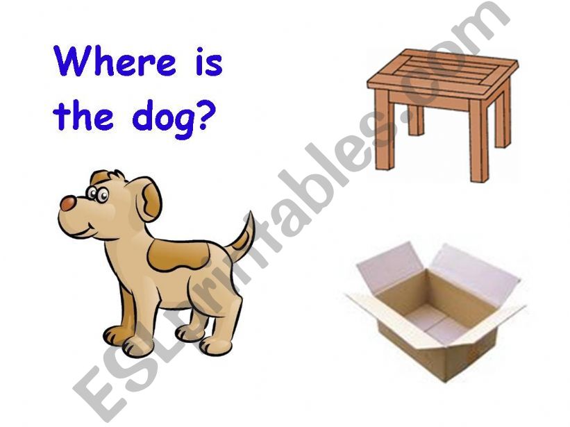 Where is the dog? powerpoint