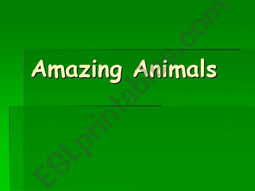 Amazing Animals powerpoint