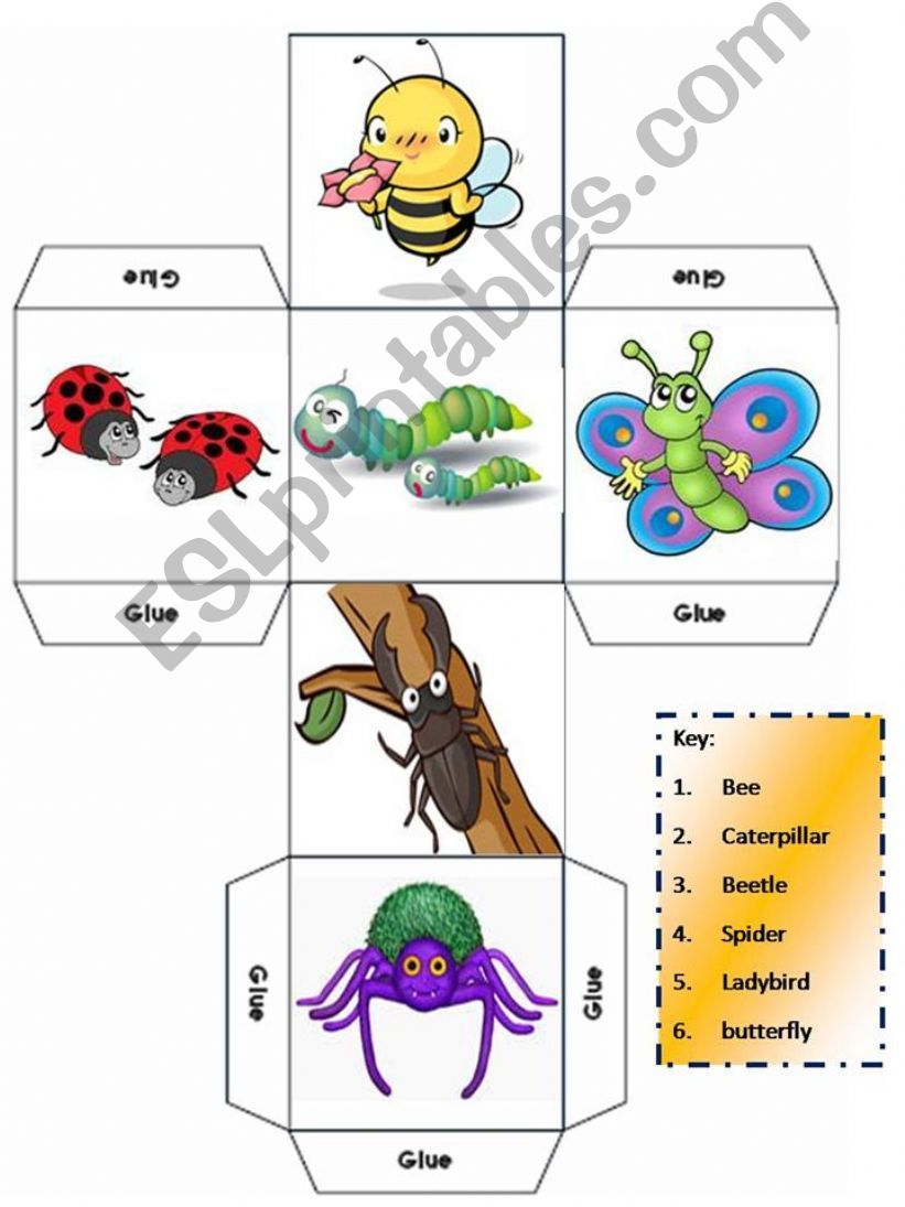 DICE - LEARNING ABOUT INSECTS - KEY INCLUDED
