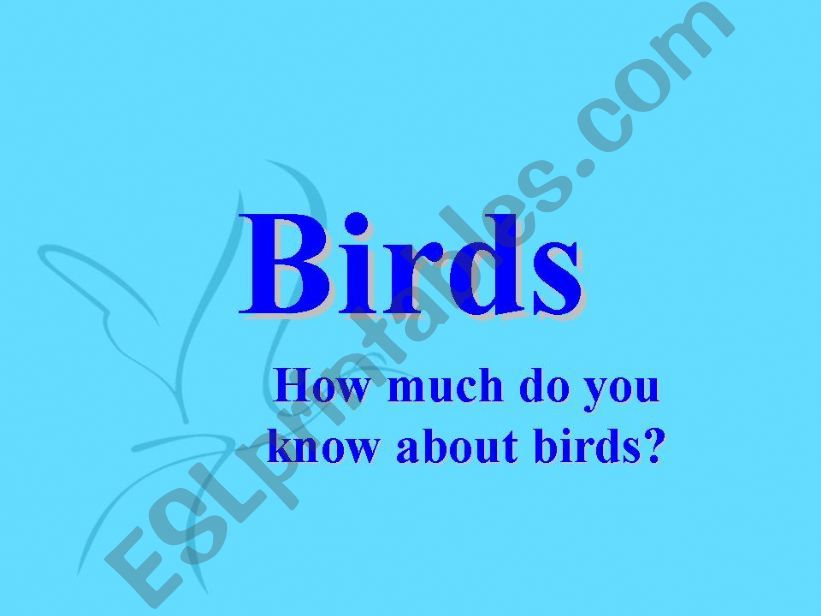 Birds powerpoint