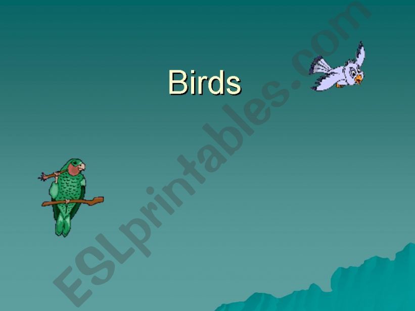 BIRDS powerpoint