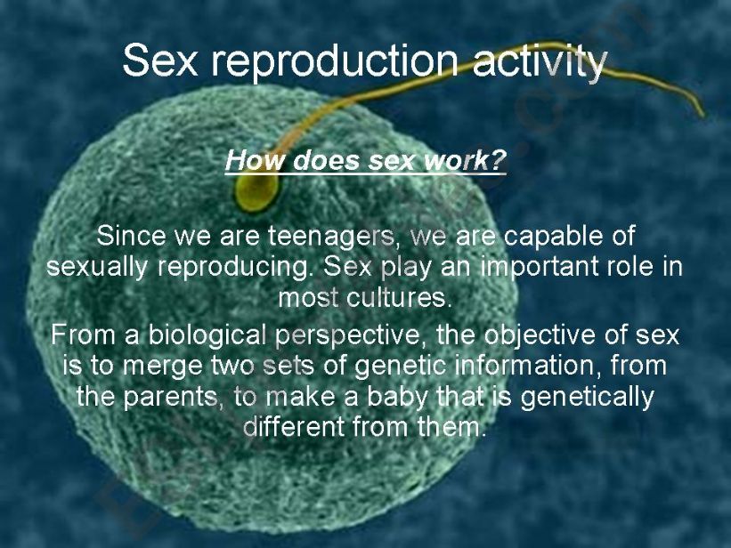Simple present questions about sex reproduction