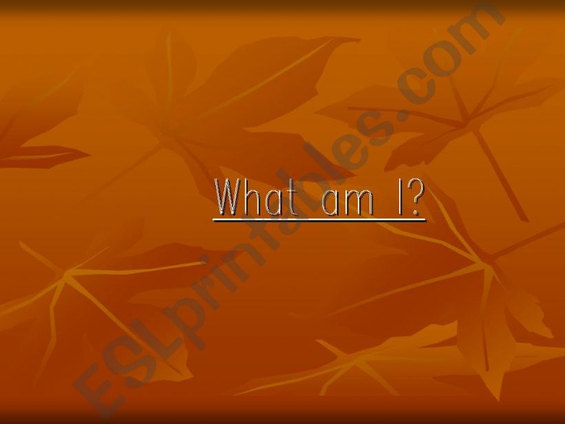 What am I? powerpoint