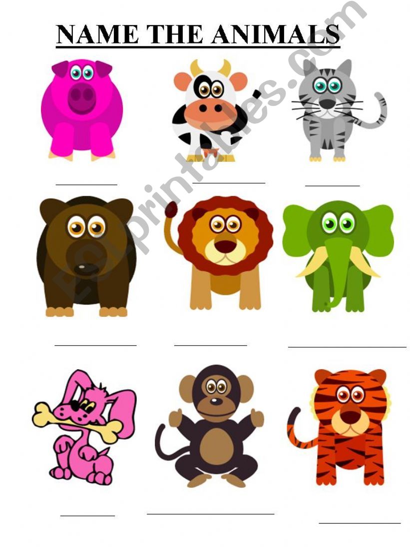 NAME THE ANIMALS powerpoint