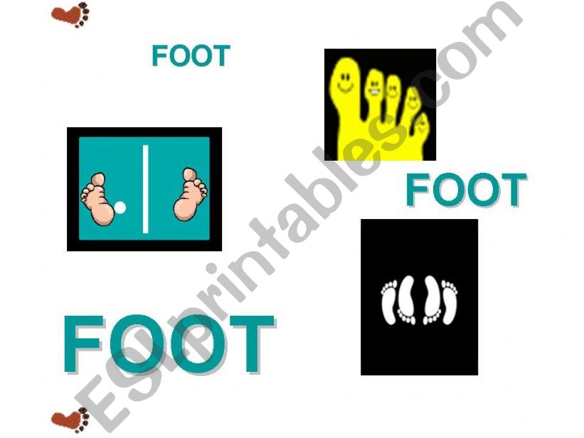 Body Parts  powerpoint
