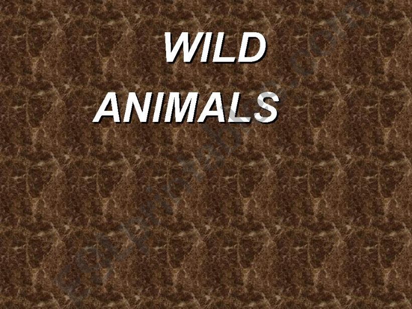 wild animals powerpoint