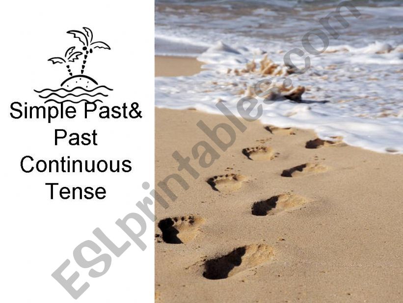 Simple Past and Past Continuous Exercise