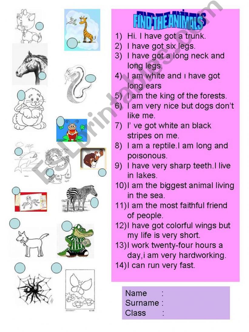 FIND THE ANIMALS powerpoint