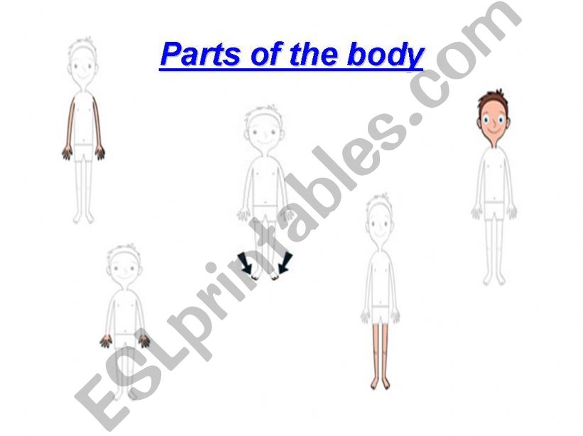 parts of the body and face powerpoint