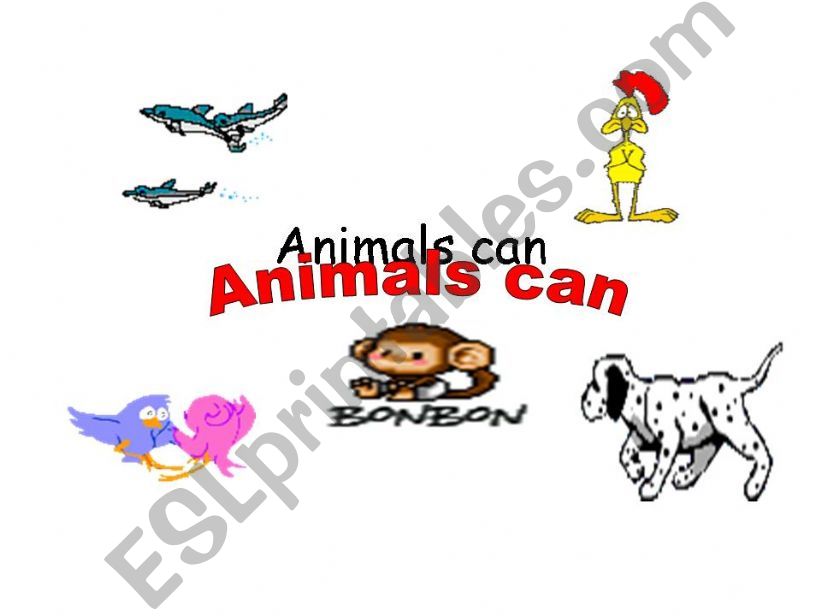 animals can powerpoint