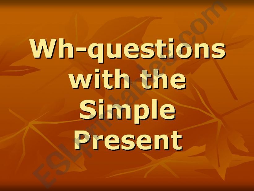 WH questions with Simple Present