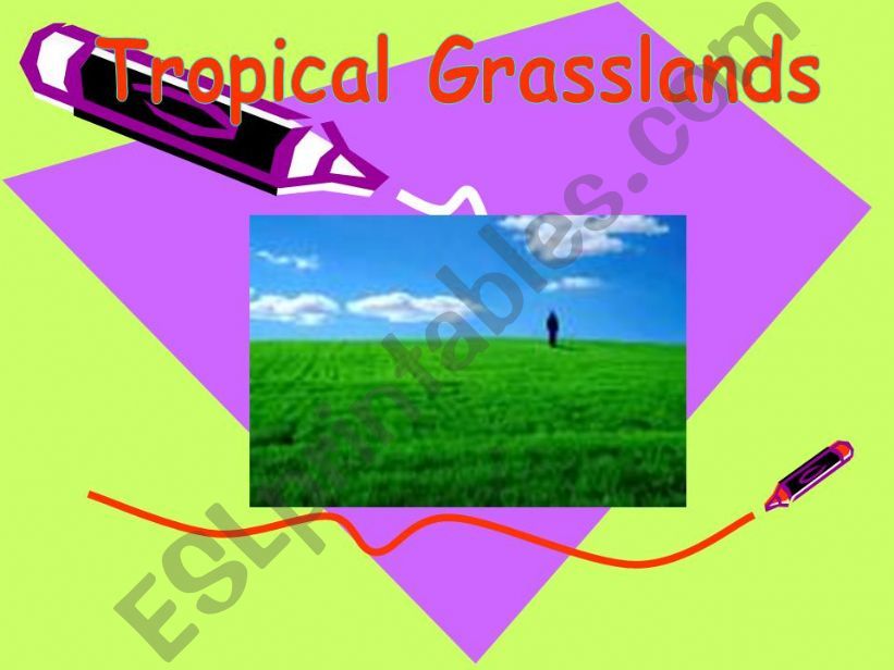 Tropical Grasslands powerpoint
