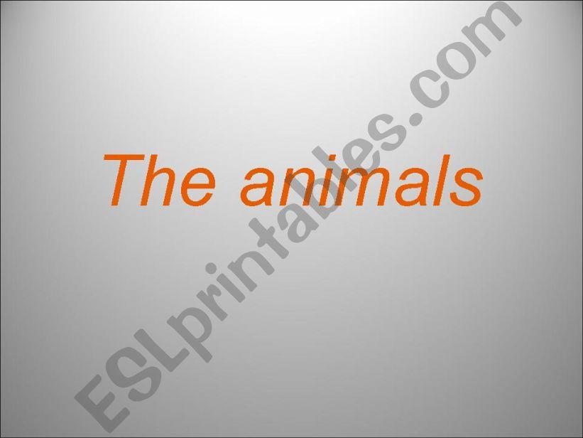 The animals powerpoint