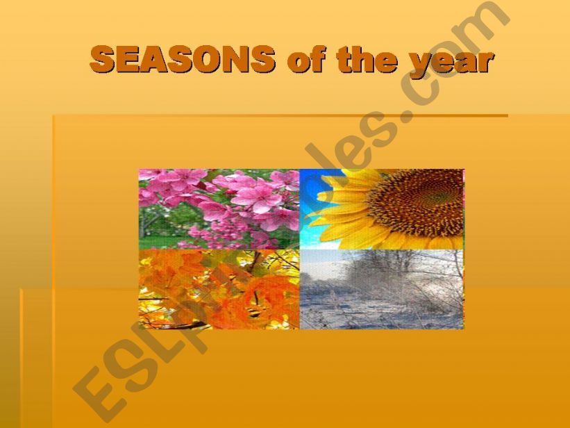 SEASONS of the year powerpoint