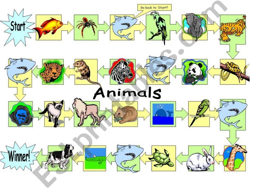 Animal boardgame powerpoint