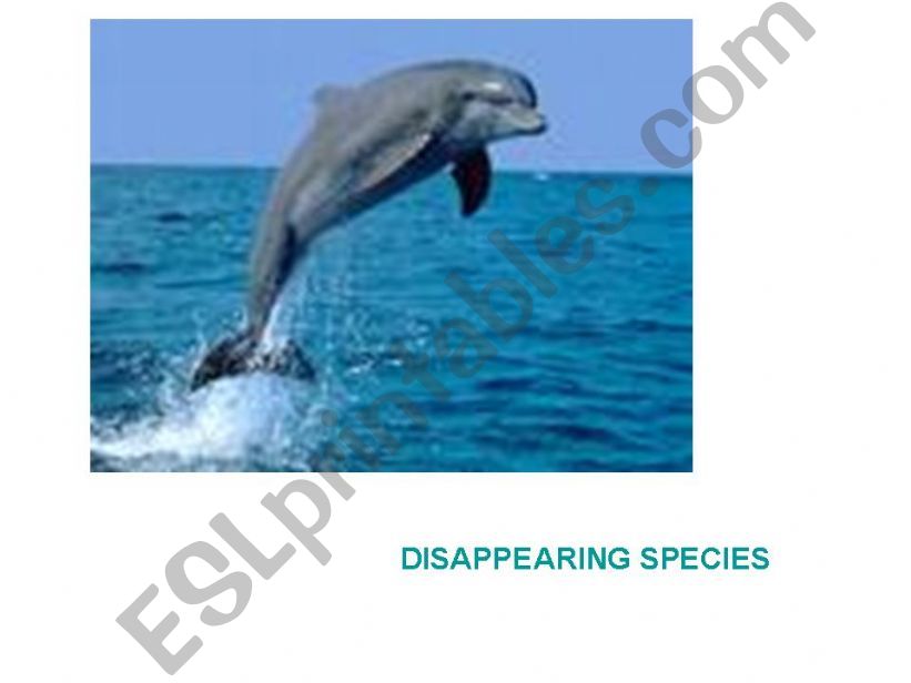 disppearing species part 1 powerpoint