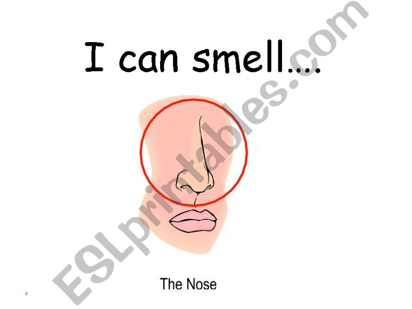 Description of the sense Smell