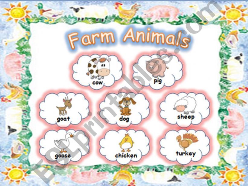 PICTURE DICTIONARY - FARM ANIMALS PART 1