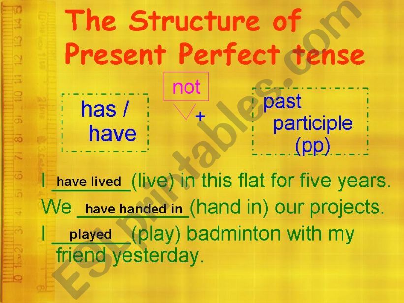 Present Perfect - Slimming companies