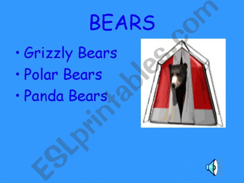 Bears powerpoint