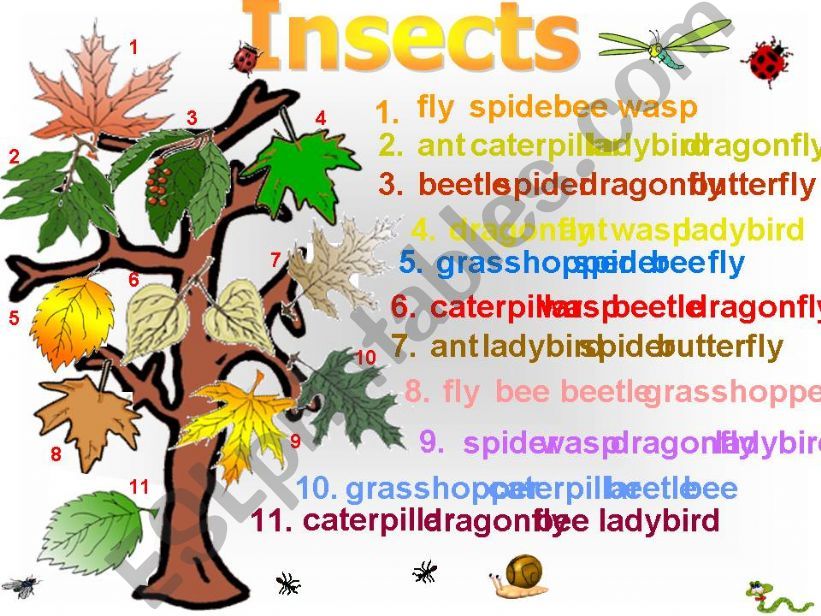 Insects Game powerpoint