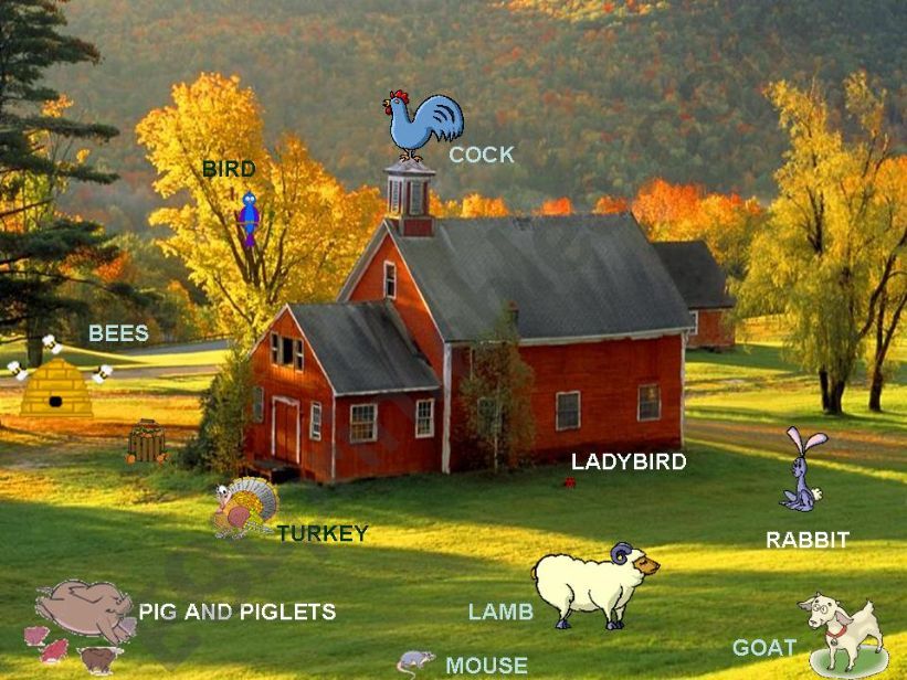 FARM ANIMALS 2 powerpoint