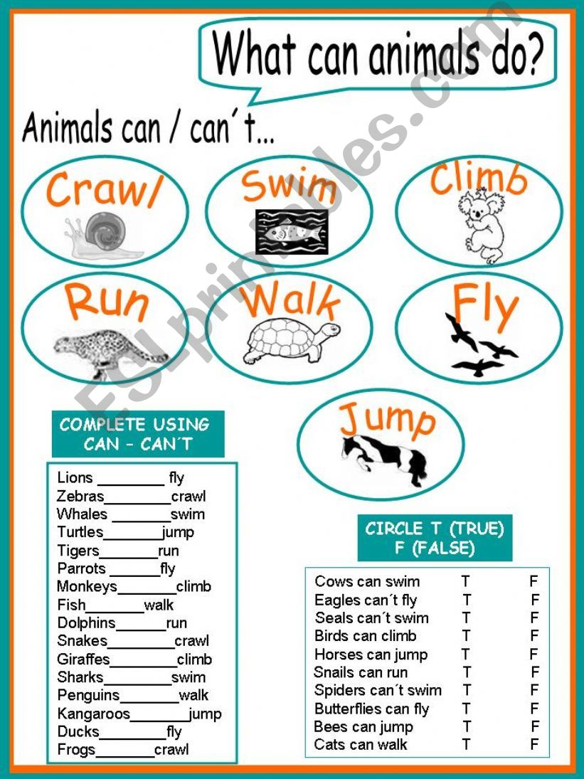What can/cant animals do? 2 pages