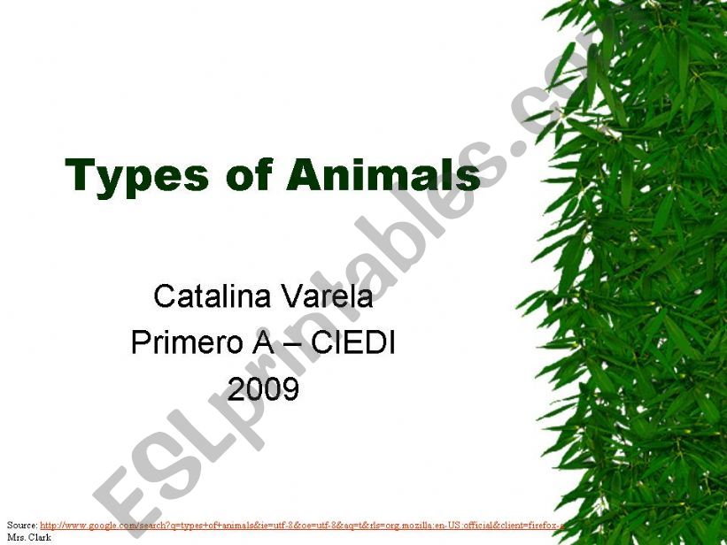 Types of Animals and their classification