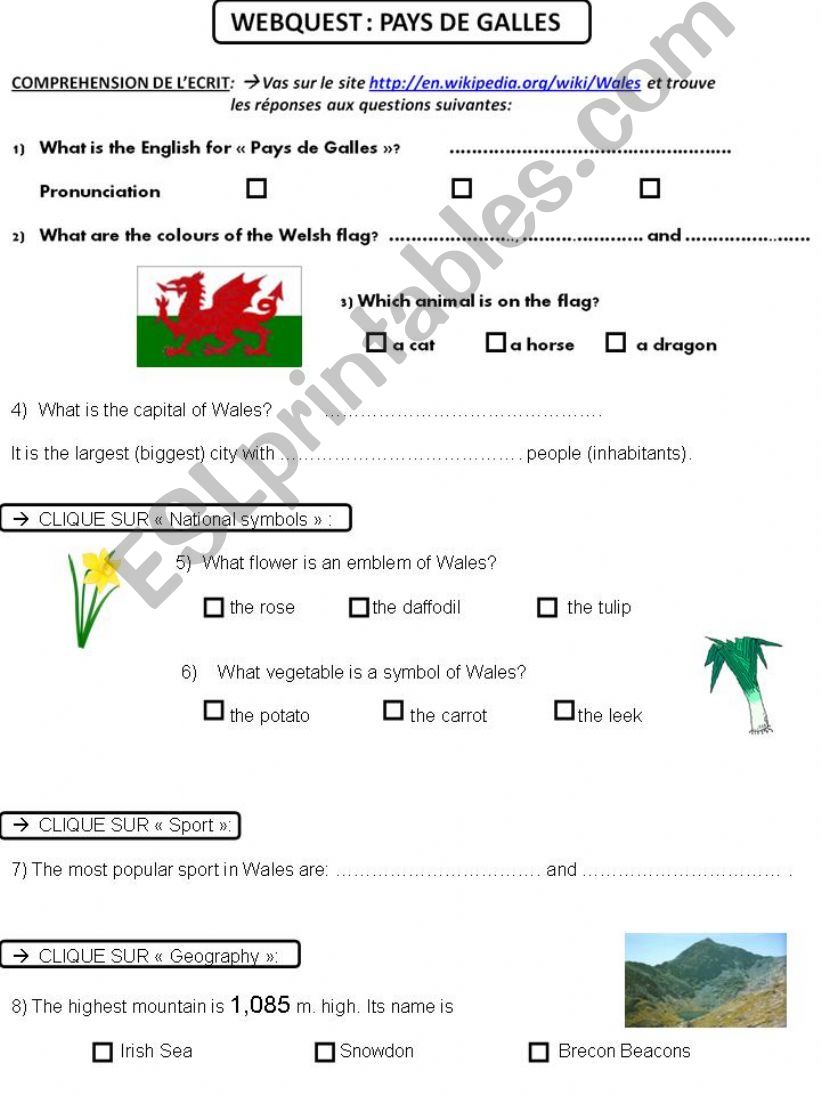 Wales Webquest powerpoint