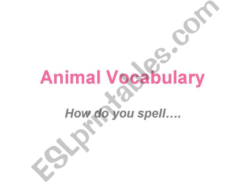 Animal Vocabulary powerpoint