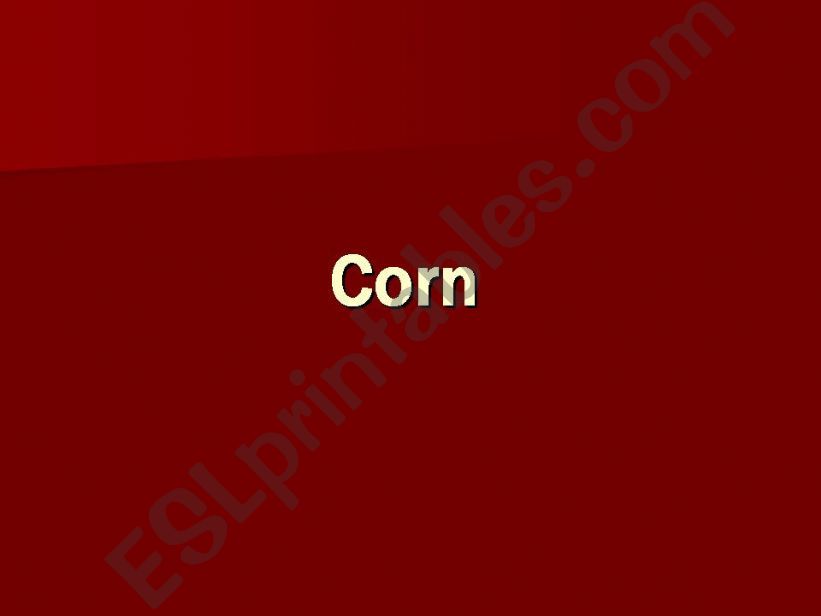 Corn powerpoint