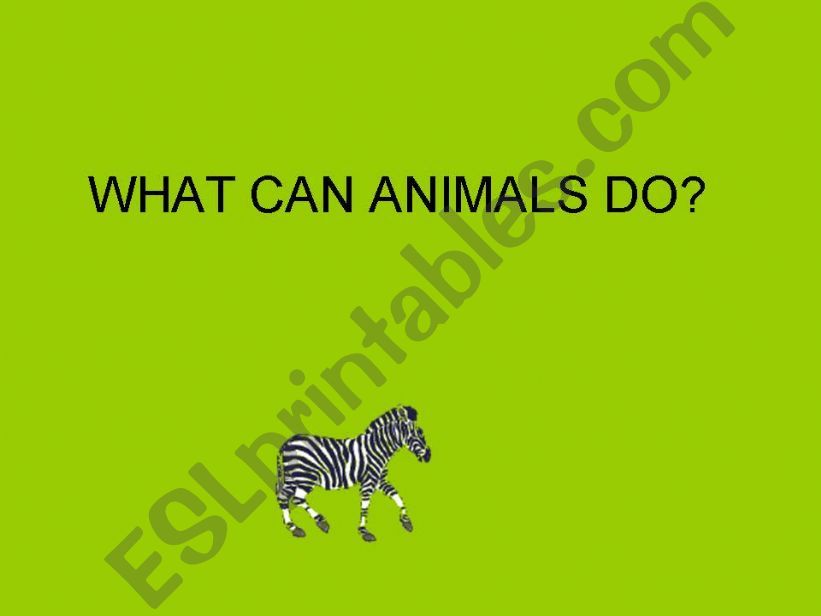 WHAT CAN ANIMALS DO? powerpoint