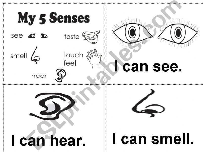 five senses powerpoint