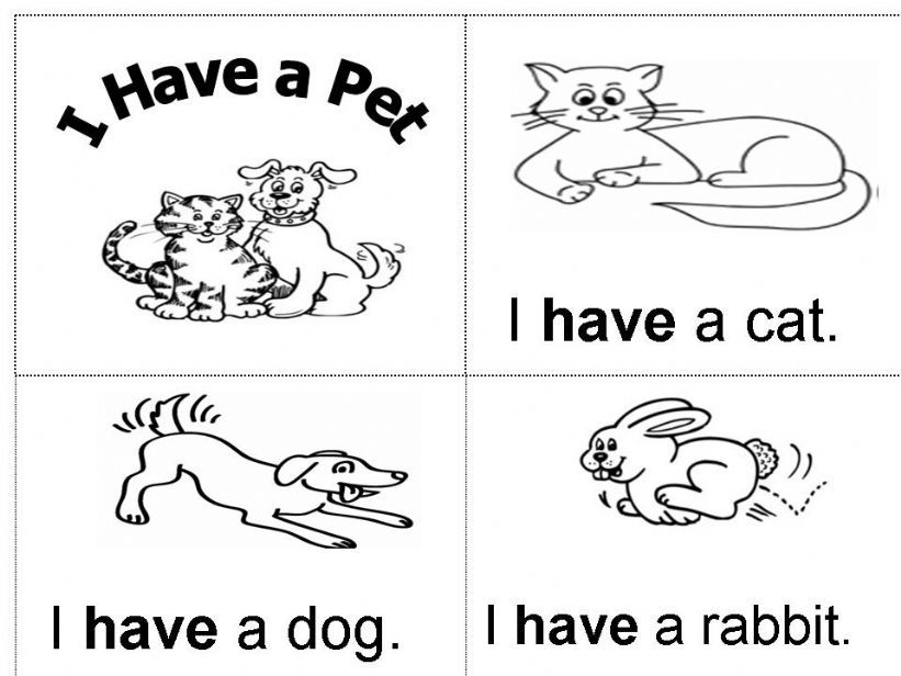 I have pet powerpoint
