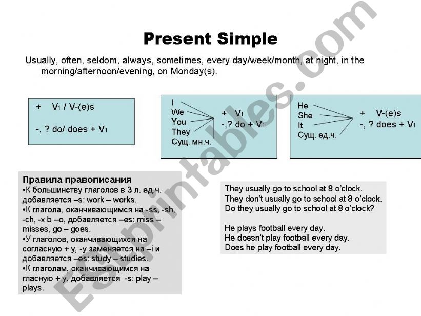 Present Simple powerpoint