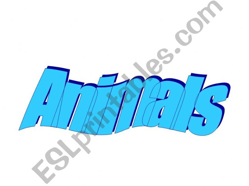 Animals powerpoint