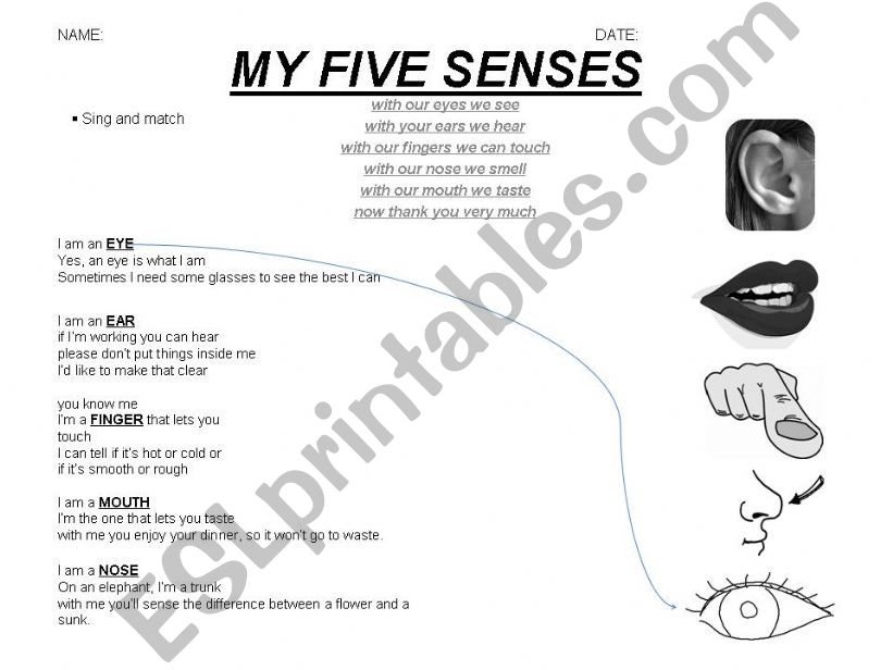 my five senses powerpoint
