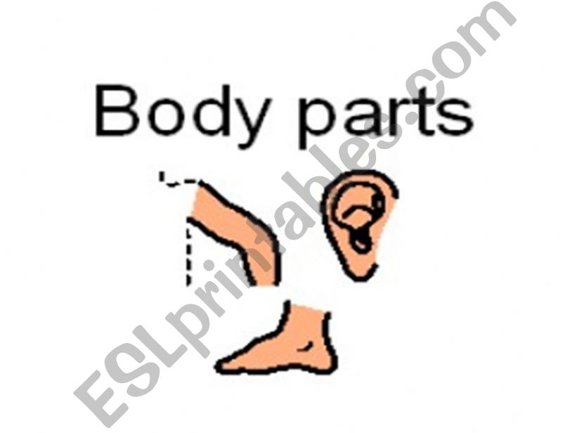 Parts of the Body powerpoint