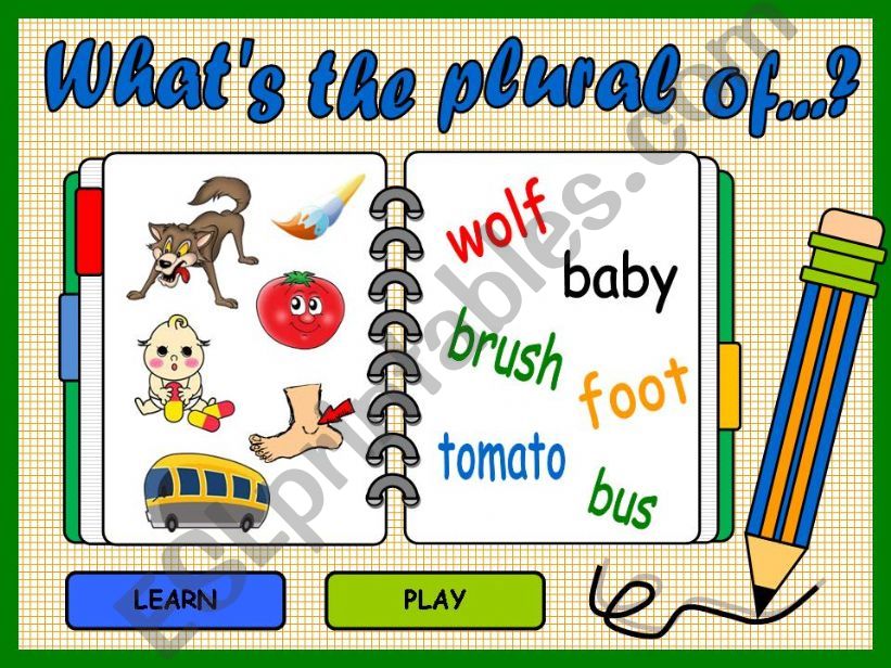 PLURAL OF NOUNS (REGULAR AND IRREGULAR) - GAME