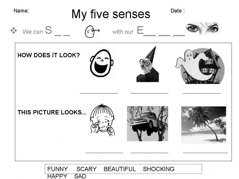 my five senses sight powerpoint