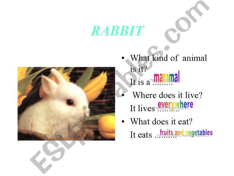 Animals powerpoint