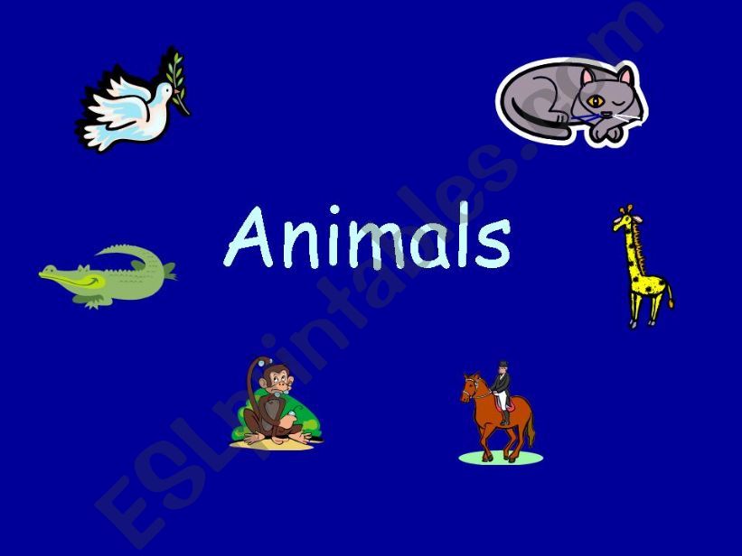 animals ppt powerpoint