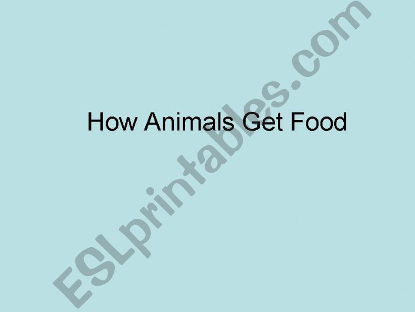 How animals get food powerpoint