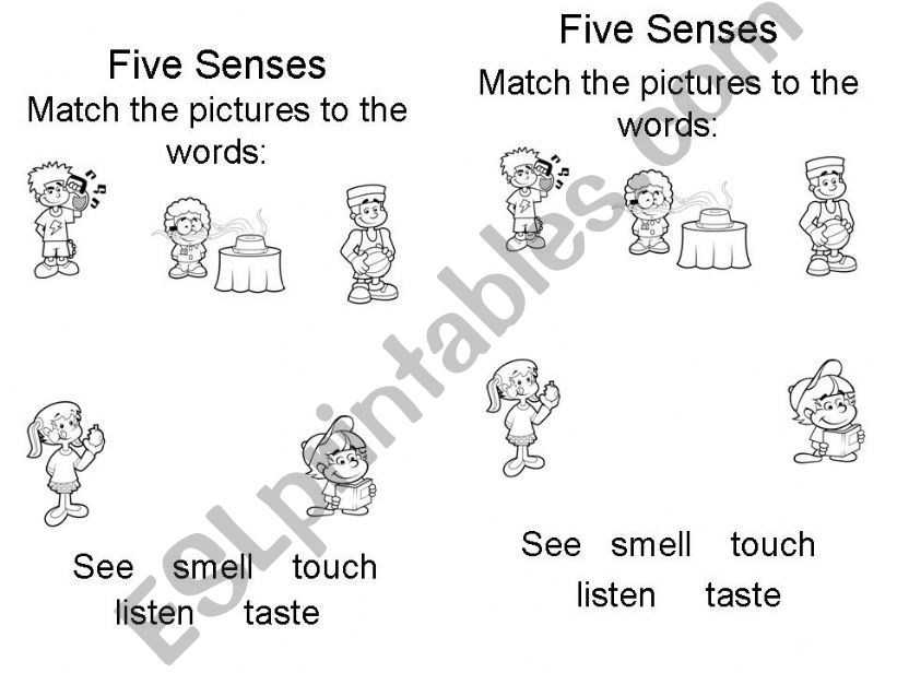 Senses powerpoint